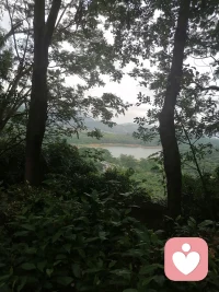 奔赴山林，不负时光。踩着石阶向上攀登，感受微风拂面，沐浴山间暖阳，看层峦叠嶂，赏满目青绿。爬山是治愈，也是放空，翻过一程又一程，才懂人间烟火，岁月安然。配图