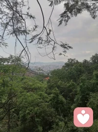 奔赴山林，不负时光。踩着石阶向上攀登，感受微风拂面，沐浴山间暖阳，看层峦叠嶂，赏满目青绿。爬山是治愈，也是放空，翻过一程又一程，才懂人间烟火，岁月安然。配图