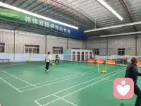 运动产生的多巴胺能消化部分情绪。