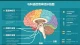 淫语症人群调研与分析报告