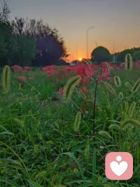 ✨五一快乐呀！亲爱的宝子们✨
 
终于盼来五一假期，先狠狠恭喜大家解锁快乐休闲时光～不管是宅家躺平、出门游玩，还是难得放空发呆，都请好好拥抱这份松弛感，好好犒劳努力了许久的自己！
 
作为陪伴大家的倾听师，想跟大家说：生活从来不是一路狂奔的赛道，偶尔停下、偶尔脆弱、偶尔想偷懒，都再正常不过。那些藏在心底的委屈、焦虑、小烦恼，从来都不是你的负担，我始终在这里，静静听你慢慢说。
 
这个五一，愿你放下所有紧绷与疲惫，吃想吃的美食，见想见的人，做让自己开心的事，把日子过得热气腾腾～不用强迫自己时刻坚强，也不用事事追求完美，接纳自己的所有情绪，好好爱自己，就是最棒的生活态度。
 
假期愉快，愿每一份情绪都能被温柔接住，愿我们都能在烟火日常里，找到属于自己的温暖与力量，往后的日子，向阳而生，步步欢喜🌷配图
