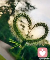 把温柔藏进每一段聆听里
 
清晨的阳光透过窗纱，落在书桌的绿植上，暖融融的，刚好开启一天的旅程。
 
作为倾听师，每天都在接住不同的情绪：有人带着深夜的失眠倾诉委屈，有人藏着难言的焦虑诉说迷茫，也有人只是想找个地方，安安静静说几句心里话。
 
不想急着说教，也不想刻意安慰，只是想认真地听，用心地懂。原来最治愈的从来不是华丽的话语，而是被看见、被接纳、被稳稳地接住。
 
那些看似细碎的烦恼，那些藏在心底的委屈，都值得被认真倾听。每一次敞开心扉，都是一次勇敢的自我和解；每一次温柔回应，都想给你多一点前行的勇气。
 
愿我们都能在喧嚣世界里，找到安心倾诉的角落，被温柔以待，也慢慢学会拥抱自己。
 
生活向前走，情绪好好放，我一直在这里，听你慢慢讲✨配图