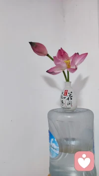 如果活着不是为了快乐，那长命百岁又有何意义？在无法重来的人生里，请尽量快乐。凡事看开点，日子简单点，心头敞亮点，风雨由天，快乐由己。记住，首先你要快乐，其他都是其次。配图