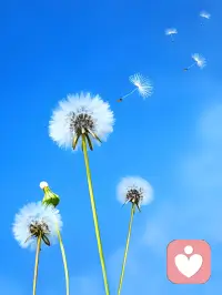 接不到单子   努力学习中……