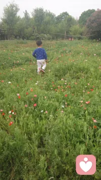 对自己内心深处的那个小孩道一句：节日快乐！配图