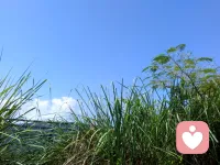 世间所有遇见，皆是缘分
 
人海辽阔，山河漫漫，人与人的相逢，从来都不是偶然。
 
我们这一生会遇见千万人，大多擦肩而过，成为生命里匆匆的过客，可总有一些人，跨越山海、恰逢其时，出现在你的岁岁年年。不必刻意奔赴，不用费力挽留，缘分最动人的模样，就是顺其自然，不早不晚。
 
缘起时，春风拂面，温暖了寻常岁月；缘聚时，岁岁相伴，温柔了人间烟火。那些不经意的遇见，那些贴心的懂得，那些长久的陪伴，都是时光赠予我们最好的馈赠。
 
人与人的缘分，是心念的相惜，是灵魂的共鸣。没有无缘无故的遇见，每一次相逢，都带着专属的意义。有人教会你成长，有人温暖你余生，哪怕只是一程相伴，也足以治愈前路的风雨与孤单。
 
余生漫漫，感恩所有不期而遇的温柔，珍惜所有如约而至的缘分。愿我们不负遇见，不负陪伴，在烟火人间，与温暖相拥，与美好相守，岁岁安然，岁岁温柔。