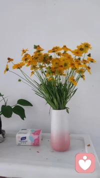 🐷   我又想你了
我不想和好，也不想见你，但我还是很想你。其实想的也不是现在的你，而是那段毫无保留、拼尽全力去爱一个人的自己，是那些眼里有光、心里有盼的日子。不想和好，是知道我们没有未来，再纠缠也不过是重蹈覆辙；不想见面，是清楚成年人的告别本就该体面，再见也换不回当初的模样。但……我想你，是因为真心交付过的时光……骗不了人，那些热烈的、纯粹的爱意真实存在过。可我们终究……无法和解，你早已不是我记忆里那个……让我心动的模样，我怀念的是那段勇敢去爱的自己，是那份毫无保留的真诚，这份怀念……和现在的你……再也没有关系了……