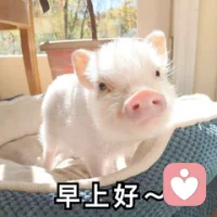 这会儿睡不着   有没有哪位失眠的朋友出来唠唠嗑