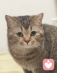 好好爱自己，才是一生漫长的底气。