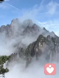 向阳而生，生活明朗，万物可爱。人间值得，未来可期。