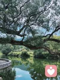 取不得，舍不得，状不得。