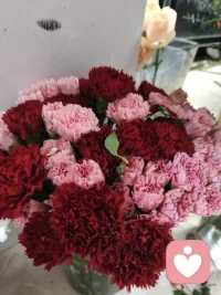 忙忙碌碌的一天。520快乐配图