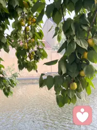 做人如山  望万物  而容万物
做人似水  能进退  而知进退配图