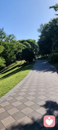 每个人都有自私的一面。自私意味着什么？意味着每个人都会选择当下最有利自己的行为，不仅仅体现在金钱上，还包括精神，信仰等。配图