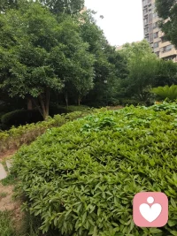 早上好
微风拂面，微凉入怀，俗世烦忧皆散。