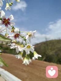 今日徒步✌