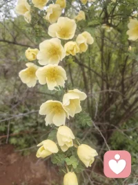 今日徒步✌