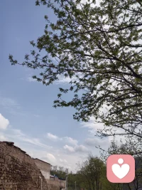 你的思维方式也许决定了您的命运走向，比如遇到同样的问题，受害者心态就会怨天尤人，丧失信心，而幸存者心态就会积极应对。所以你想到的是“为什么是我”还是“现在怎么办能做什么”