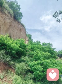 今日下乡～晴空送你，碧树送你，和风送你，都给你吧
晚安晚安晚安配图