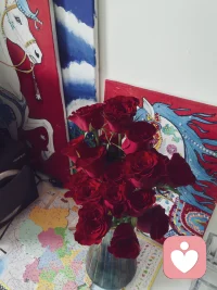 生来偏爱繁花，
热烈的红玫瑰撞进眼底，
便知平凡日子也藏着细碎的欢喜，
鲜花是女生永不过期的浪漫。配图