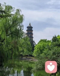 “意义就像小狗的尾巴，你只管向前，它自然会跟上来，若你就想抓住它，那就只能原地转圈” 所以，继续向前吧go on~