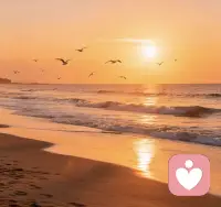 阳台花开，把温柔种进生活里
一方阳台，满院繁花，治愈所有不开心
被鲜花包围的日常，温柔又治愈
花开有时，生活温柔，我在这里陪你