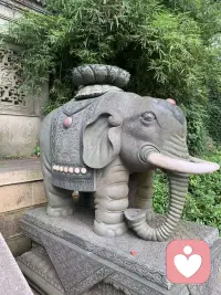 周五奔赴普陀山，昨日平安返程。
清晨的海风、缭绕香火、山海禅意全都定格在照片里。
此行诚心祈福，借佛国的好运赠予每一位刷到的人，愿大家万事顺遂，全部心想事成🙏
#普陀山祈福 #海天佛国 #所求皆如愿