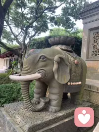 周五奔赴普陀山，昨日平安返程。
清晨的海风、缭绕香火、山海禅意全都定格在照片里。
此行诚心祈福，借佛国的好运赠予每一位刷到的人，愿大家万事顺遂，全部心想事成🙏
#普陀山祈福 #海天佛国 #所求皆如愿