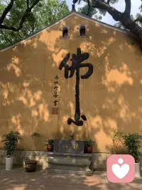 周五奔赴普陀山，昨日平安返程。
清晨的海风、缭绕香火、山海禅意全都定格在照片里。
此行诚心祈福，借佛国的好运赠予每一位刷到的人，愿大家万事顺遂，全部心想事成🙏
#普陀山祈福 #海天佛国 #所求皆如愿