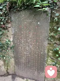 周五奔赴普陀山，昨日平安返程。
清晨的海风、缭绕香火、山海禅意全都定格在照片里。
此行诚心祈福，借佛国的好运赠予每一位刷到的人，愿大家万事顺遂，全部心想事成🙏
#普陀山祈福 #海天佛国 #所求皆如愿