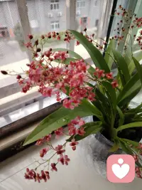 世间很多情绪，不必非要一个人扛。有些话，适合说给陌生人听；有些委屈，适合被温柔接住。我在这里，耐心倾听，温柔共情，接纳你所有的脆弱、不安与迷茫配图