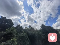 很多时候你在低谷里坚持、慢慢自愈，看起来好像没什么变化，但所有默默的努力，都在悄悄扎根。
我在这里，愿意听你讲一路的不容易。