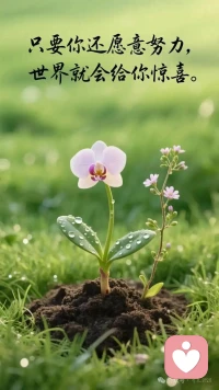 ☀️放下期待不是不在乎，而是换一种方式在乎。
♥️接纳对方本来的样子，关系松了，心也轻了。配图