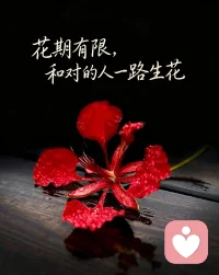 慢慢读懂了一种生活态度允许和接纳：允许一切发生，允许自己不完美，允许被别人辜负，允许…；接纳所有的好与坏，接纳天气的阴晴变化，接纳计划被打乱，接纳人来人往，接纳…，像窗外草木般顺势生长，不慌不忙，安守自己的节奏，慢慢发光~