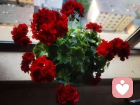 在爱情里，你可以建立底线：我重要，所以我的时间不容敷衍，我的感受不容轻视，我的边界不容践踏。得不到回应时，最好的方式是自己待着，在自己的边界里，尽力接纳自己。而不是把你的“沉没成本”，用来盼望一个不确定的等待和确认。配图
