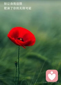 真正的共情，不是一种平行的安慰，而是垂直的理解！♥️