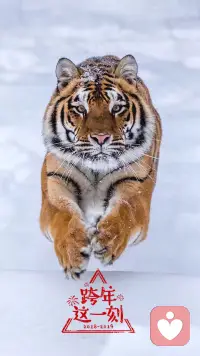 今天刚下载这个APP，想着发条动态。想着配张图，于是想起这张，不知道为什么，这张图作为手机壁纸用了近十年了，一直没换过😄