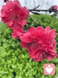 不必事事论对错，不用句句讲道理。试着理解对方的难处，安静倾听，温柔包容配图