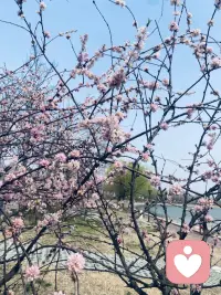 不谈大道理，只懂换位思考与包容配图