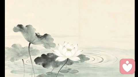 清棠抚心叙:心怀莲花,不必渡尽世人