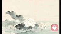 清棠抚心叙：心怀莲花，不必渡尽世人