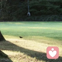 人无法通过外求获得安全感
​只能通过面对和穿越自己的恐惧来获得配图