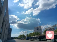 目前仅接待女性来访者
望周知配图