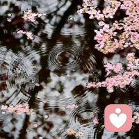 追求这些本体感受
​我可以，我能行
​我不错，我胜任
​我能学会，我能完成