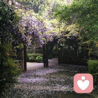 心理学上有种不易察觉的控制
​度过负责
​因为你太害怕失控
​所以试图控制一切
​包括他人情绪

​实则是内心住着一个
很小就学会用照顾别人
​来换取安全感的孩子