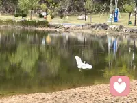 想体验一份全新的状态，告别这耗心耗神的现状配图