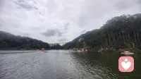 谁会没事就哭，一定是很难过，很委屈，很崩溃