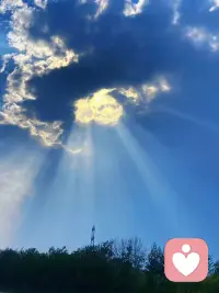 我愿做你情绪的容器，盛放你的快乐与悲伤。配图