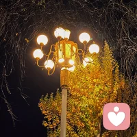 白天，我们都在扮演情绪稳定的成年人，把崩溃调成静音。
    但到了晚上，那些没说出口的话，总得有个地方安放。
    我是你的专属树洞，也是你情绪的垃圾桶。
    在这里，不需要伪装坚强，不需要字斟句酌。
    弱水三千，我只取一瓢饮；世界喧嚣，我只愿听你诉说。配图