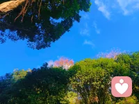 我们一生都在向外追逐：被认可、被喜欢、被尊重，却很少停下来认真看一看自己。
为什么一件小事会让你情绪失控？为什么你明明很努力却依然不快乐？答案，往往藏在“看不见自己”里。倾诉的过程，就是看见自己的过程。当你开始看见自己，你就不再被情绪操控，不再被过去捆绑。
治愈，从勇敢开口开始。愿每一个受伤的灵魂，都能被温柔对待。配图
